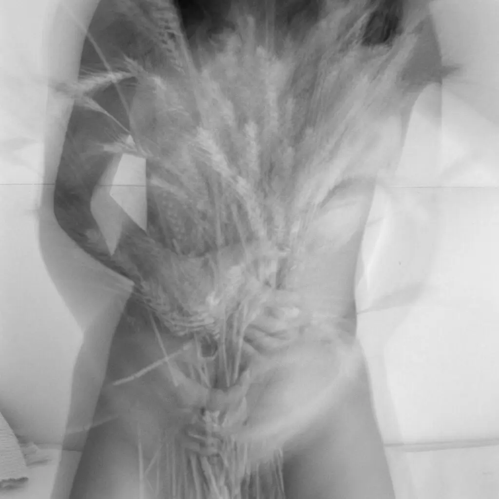 Patricia Gouvea_Fenda 09