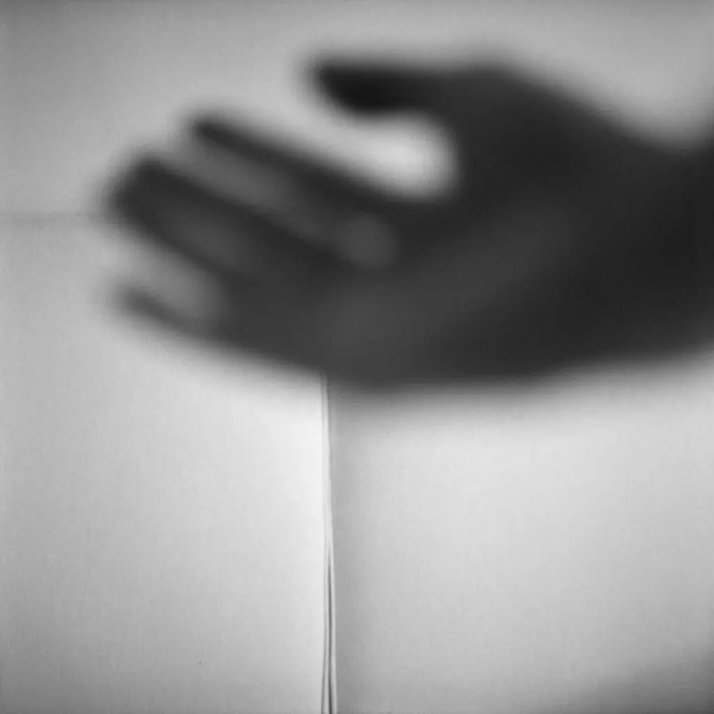 Patricia Gouvea_Fenda 14