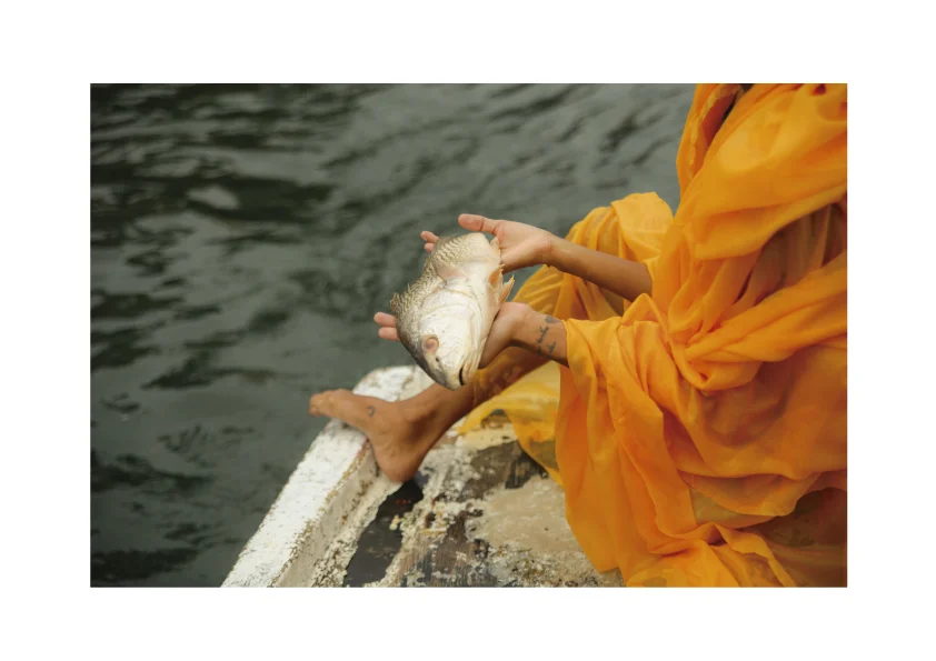 Mariana Werneck_Curimã 09