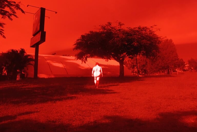 Arte Postal Apagamentos: A Natureza da Vida