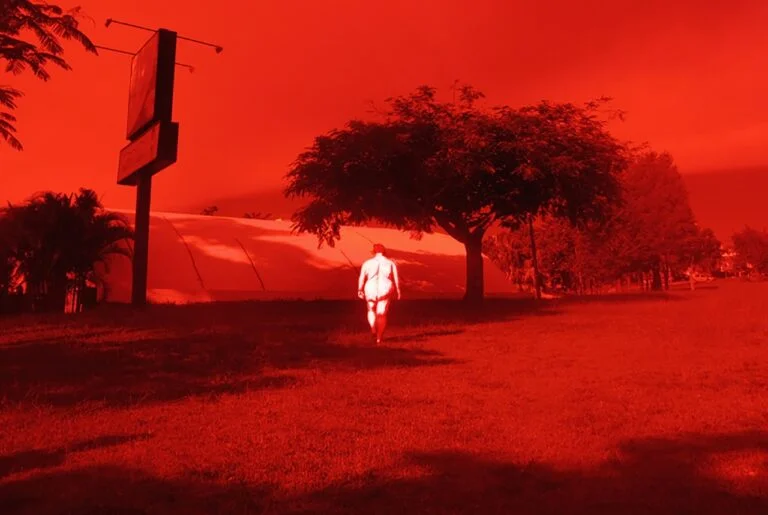 Arte Postal Apagamentos: A Natureza da Vida