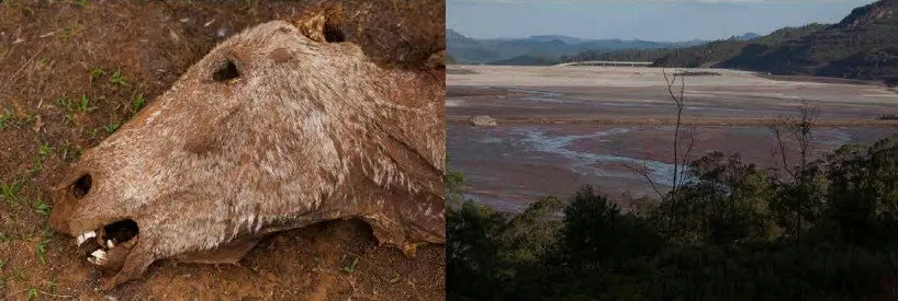 estados-de-conservacao-1
