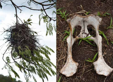 estados-de-conservacao-2