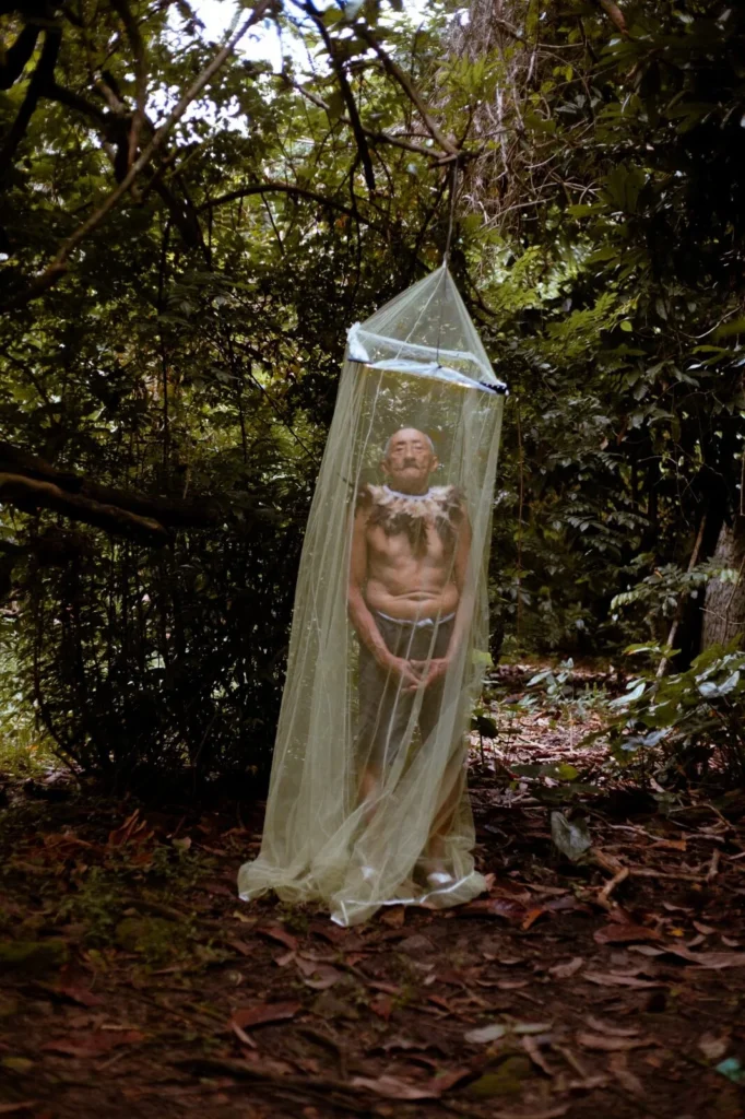Heloisa Medeiros-O guardiao da floresta-12