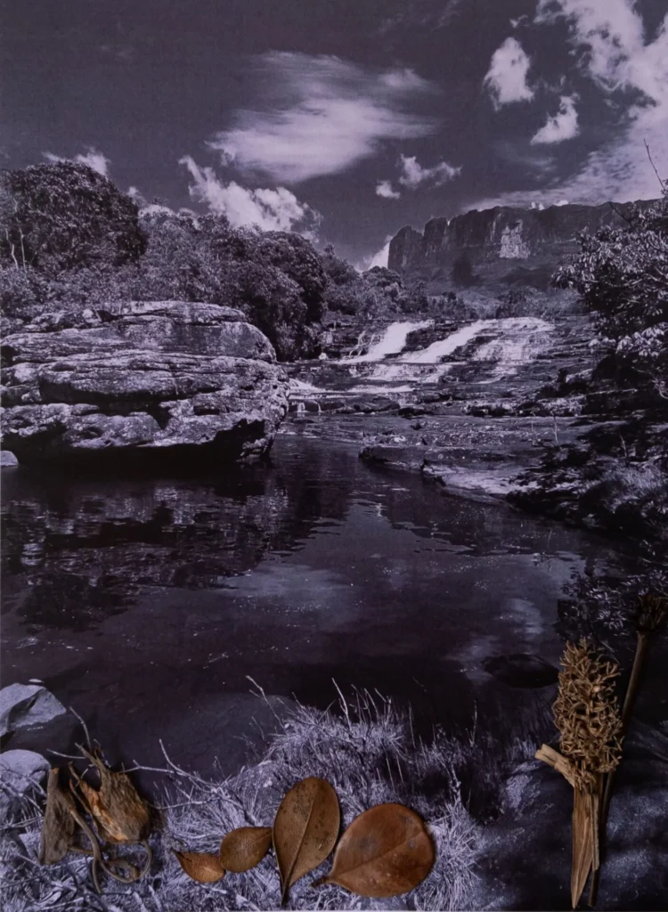 Mariangela-Ratto-Monte Roraima-01