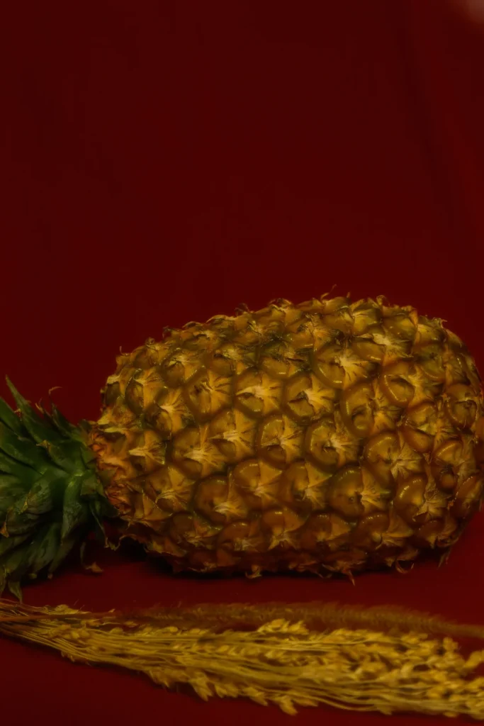 Larissa Mattos - O Corpo e a Natureza 03