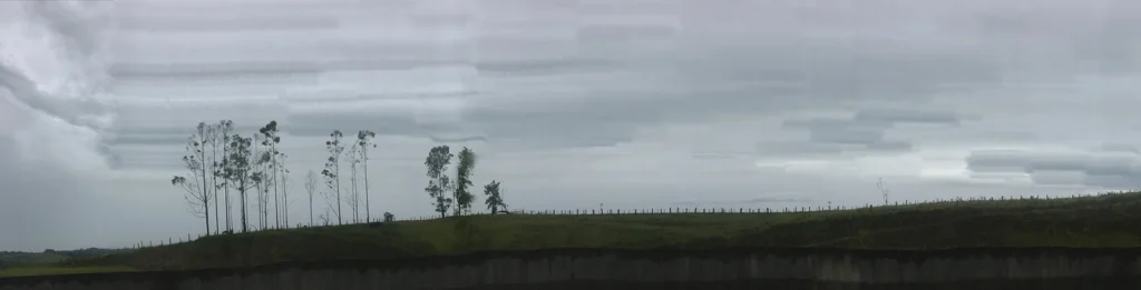 Vanessa Poitena-Paisagens de Arrasto-03