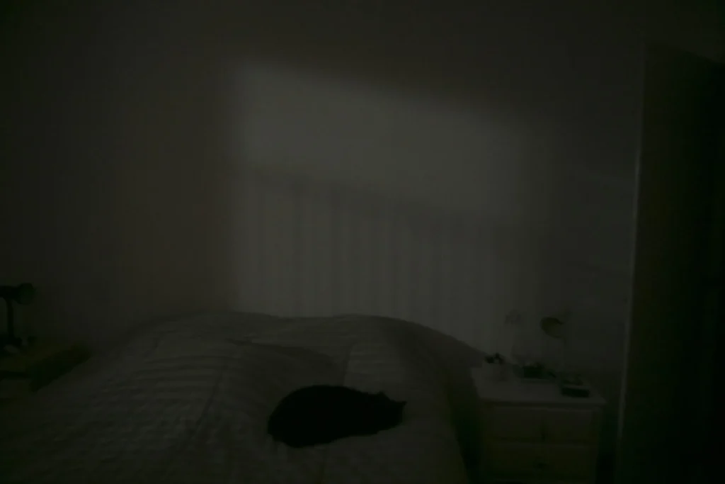 03_QUARENTENA_PATCORVO