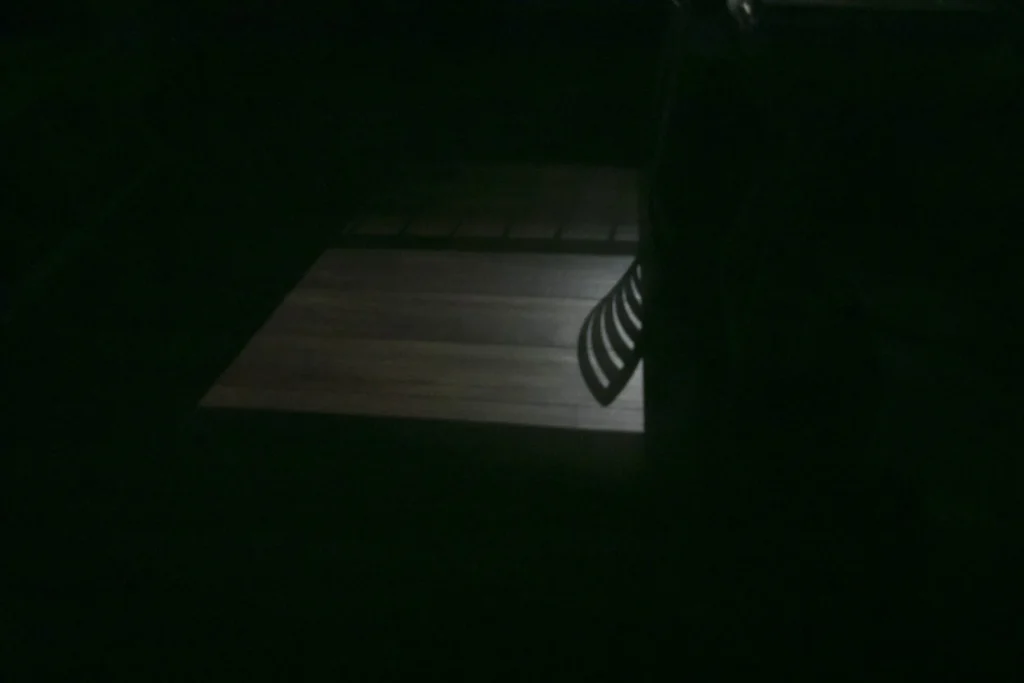 07_QUARENTENA_PATCORVO